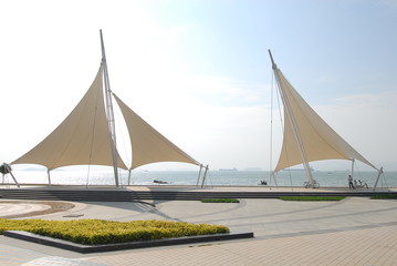 霸王鞭的养殖方法和注意事项