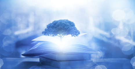 《西游记》中考训练题及答案？