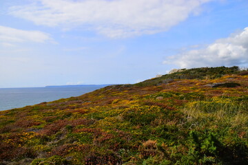 北京植物园怎么样-