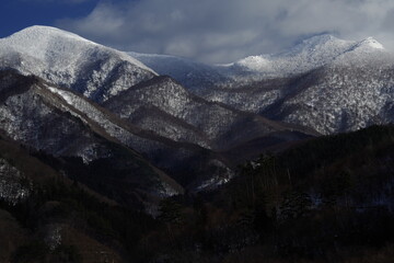 求院前急救知识的资料