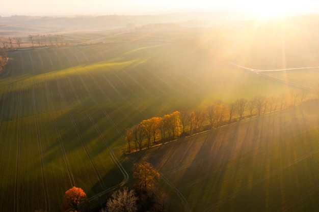 求院前急救知识的资料