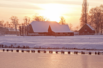 求院前急救知识的资料