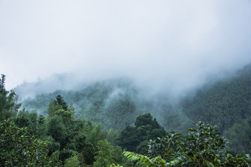 你买过的最实用的数码产品是什么？